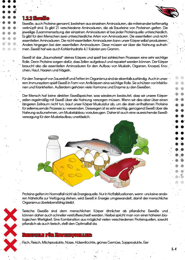 "HowTo" Get BIG, ATHLETIC, HEALTHY & STRONG - Grundlagen Handbuch - eBook (PDF)