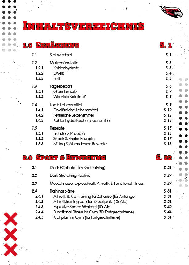 "HowTo" Get BIG, ATHLETIC, HEALTHY & STRONG - Grundlagen Handbuch - eBook (PDF)