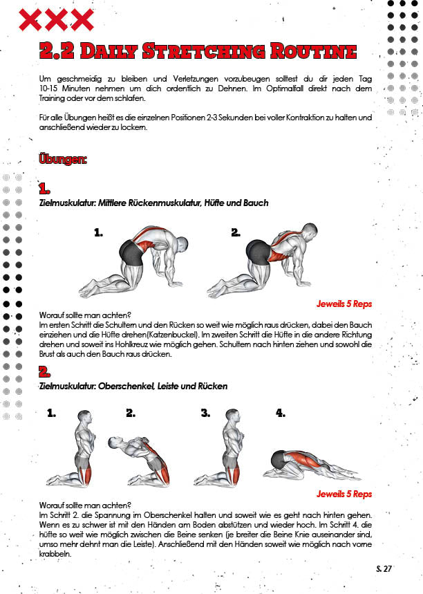 "HowTo" Get BIG, ATHLETIC, HEALTHY & STRONG - Grundlagen Handbuch - eBook (PDF)