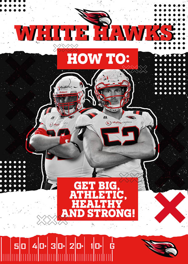 "HowTo" Get BIG, ATHLETIC, HEALTHY & STRONG - Grundlagen Handbuch - eBook (PDF)